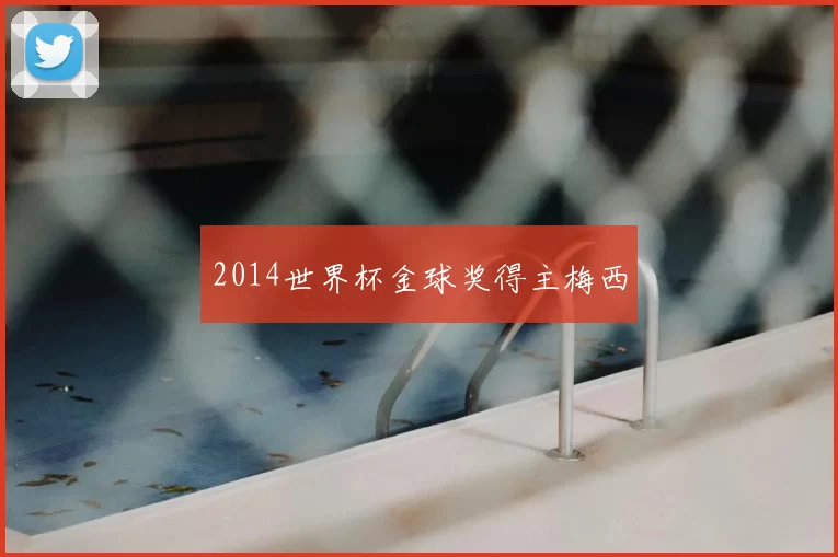 2014世界杯金球奖得主梅西