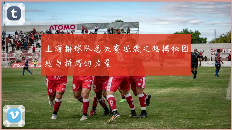 上海排球队总决赛逆袭之路揭秘团结与拼搏的力量