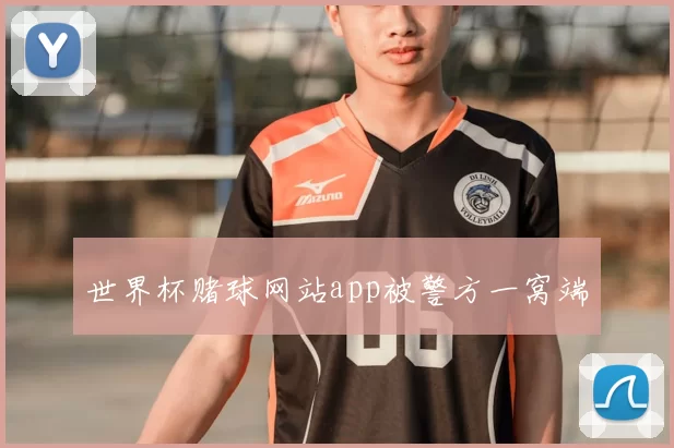 世界杯赌球网站app被警方一窝端