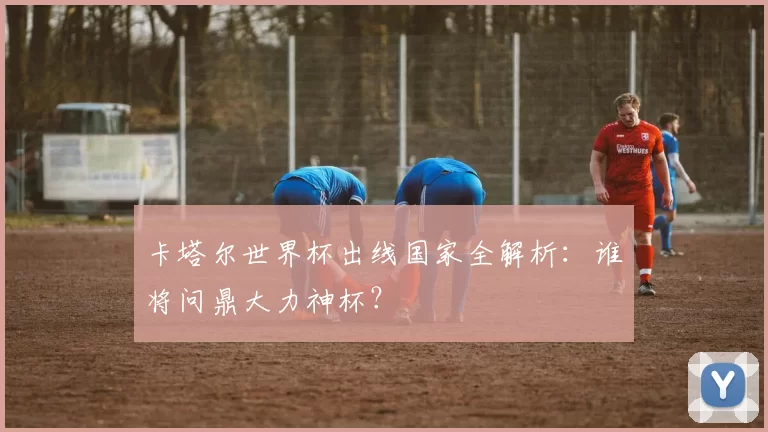 卡塔尔世界杯出线国家全解析:谁将问鼎大力神杯?