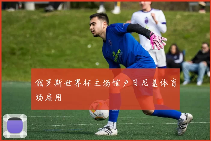 俄罗斯世界杯主场馆卢日尼基体育场启用