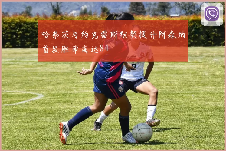 哈弗茨与约克雷斯默契提升阿森纳首发胜率高达84