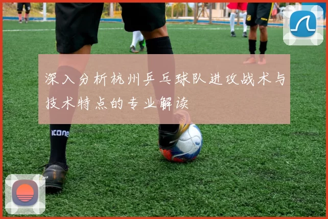 深入分析杭州乒乓球队进攻战术与技术特点的专业解读